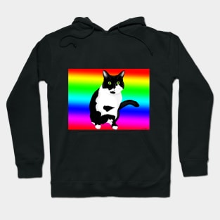 Black and white kitty on rainbow Hoodie